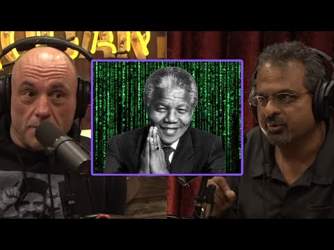 The Mandela Effect: Proof We Live in a Simulation? - Joe Rogan & Rizwan Virk