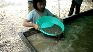 preview picture of video 'Gold Panning at Thermal City Gold Mine'