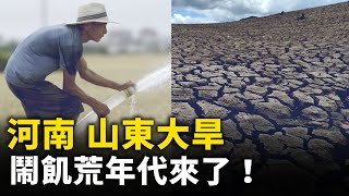 [問卦] 東北、廣東大洪水,河南卻大旱?