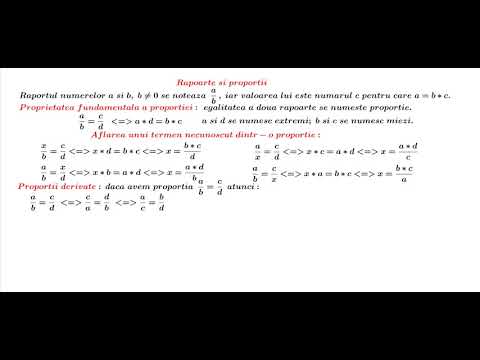 L1 rapoarte si proportii