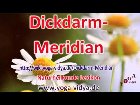 Dickdarm Meridian