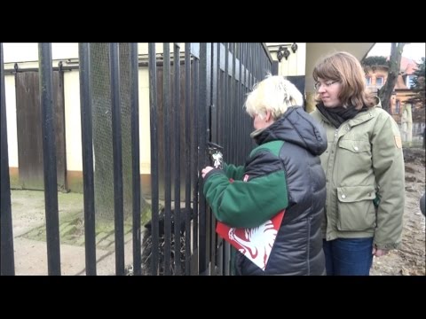 Zooinventur: 1165 Tiere leben in  Hoyerswerda