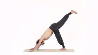 MERU MOUNTAIN POSE, DYNAMIC 5 – MERU ASANA