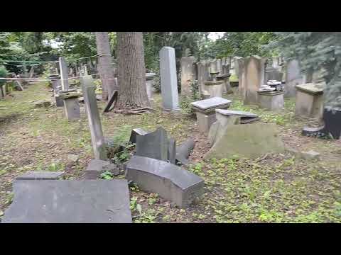 Stary Cmentarz Żydowski, Wrocław. Dolny Śląsk, jesień 2025