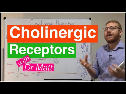 Cholinergic Receptors