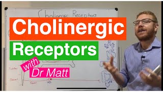 Cholinergic Receptors