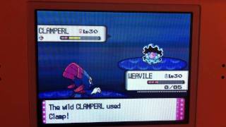 Pokemon diamond and pearl catching clamperl ( Catch on route 202,219, 220 or 221)