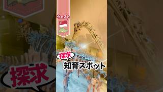 【#シンガポール 】リーコンチェン自然史博物館 #shorts