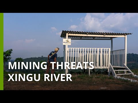 Dammed, now mined: Indigenous Brazilians fight for the Xingu River’s future