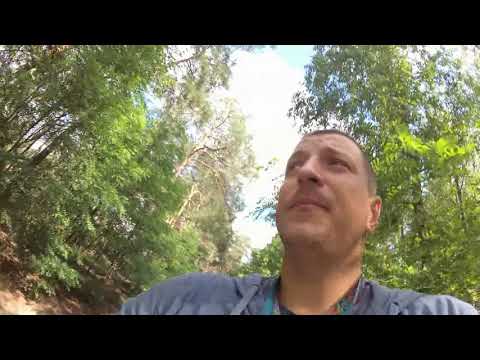 Pies gryzie po rękach- Jak oduczyć.