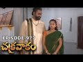 Episode 977 Chakravakam Telugu Daily Serial Manjula Naidu Loud Speaker