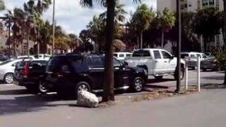 Miami Beach Section 8 Plan Ocho Office Video
