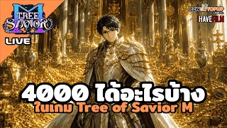 มีเงิน 4,000 บาท เติมอะไรได้บ้างในเกม Tree of Savior M : TOSM