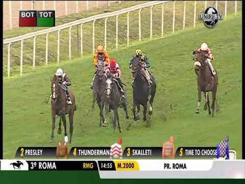 Premio Roma - Gruppe 2 - 2019