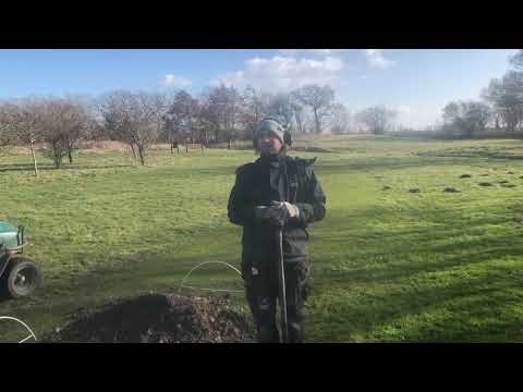 Banstatus + fågelholkar & insektshotell