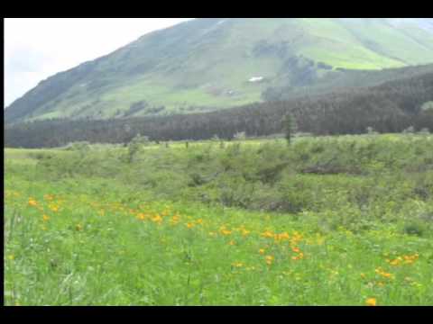 Vjun nad Wodoj - вьюн над водой.m4v