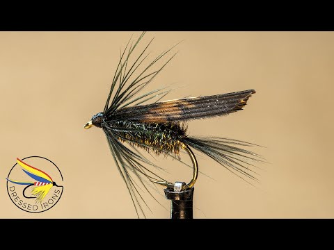 Tying The Black Turkey - Dressed Irons
