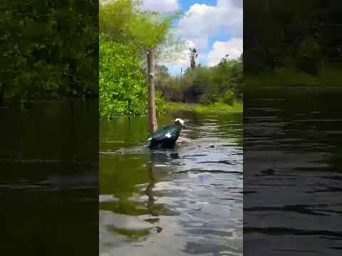 balneário em são João da fronteira