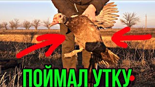 Ссылка