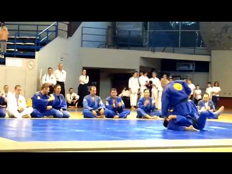 REAL AIKIDO Demonstration "6 DAN - Igor Petrovic" (2014)
