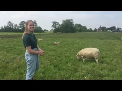 Expeditie de boer op - #6 - Fam Attema - VVFC de Uithof