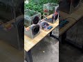 Home Made 5 1 Dolby Sound System Dolbyatmos Dolby