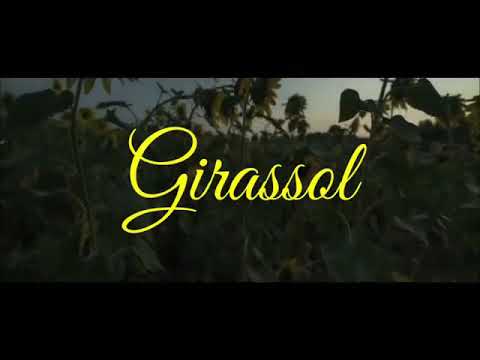 Girassol - Priscilla Alcantara & Whindersson Nunes (Official Music Vídeo) Fã Clipe