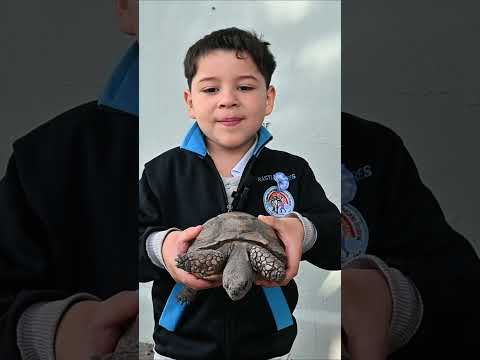 La granja es parte del aula