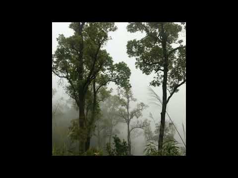 [FREE] irko + realo + femtogo type beat - "boujee" (p. 6min)