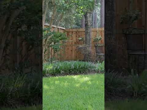 Backyard Wind Solutions with Evergreens & Shade-Tolerant Design | Fence Install & Landscape Tour