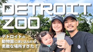 デトロイトのタイガーに会いに行こう！🐅🇺🇸 "Detroit Zoo" 今週末の外出先はここで決まり！家族3人帰りたくなくなってリピート確定 #6