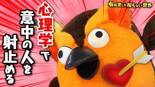 オープニング - 【ノウハウが超進化】恋愛本の世界 ~有隣堂しか知らない世界148~