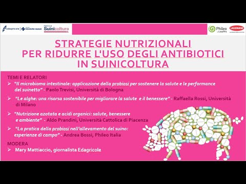 , title : 'Strategie nutrizionali per ridurre l’uso di antibiotici in suinicoltura'