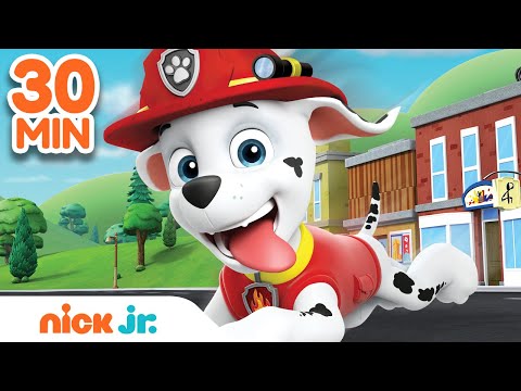 Best of Marshall ???? PAW Patrol! | 30 Minute Compilation | Nick Jr.
