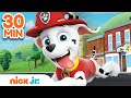 Best of Marshall 🐶 PAW Patrol! | 30 Minute Compilation | Nick Jr.