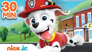 Best of Marshall 🐶 PAW Patrol!  30 Minute Compi