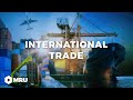 Intra Industry Trade