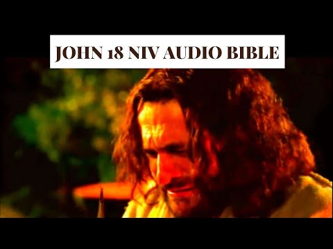 John 18 NIV AUDIO BIBLE(with text)