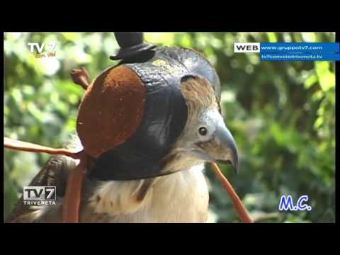 Tv7 con Voi del 21/01/2016 - Andiamo in Sudan (1 di 3)