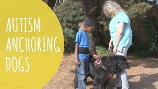 Woman Trains Service Dogs To Assist Children Challenged By Autism