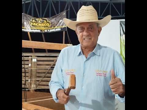 PACHECO LEILÕES - ABADIÂNIA - GO - 27/02/2026