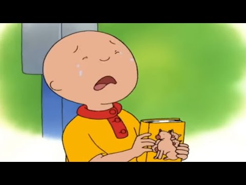 Caillou maakt een fout | Caillou Nederlands - WildBrain