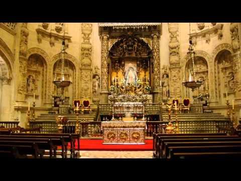 Evangelio  del  dia  13  de  Noviembre  de  2012.