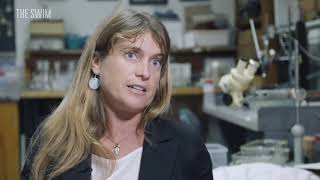 The Great Pacific Garbage Patch Is Not What You Think It Is   The Swim