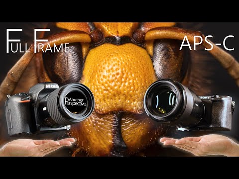 APS-C Sensor vs. FULL FRAME - Is it worth UPGRADING?