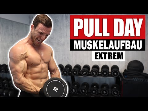 20 Min. PULL DAY Workout für Zuhause mit Kurzhanteln | Rücken, Bizeps - Sascha Huber
