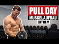 20 Min. PULL DAY für Zuhause mit Kurzhanteln | Rücken, Bizeps - Sascha Huber