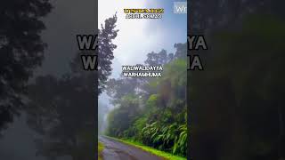 Download lagu Ustadz Abdul Somad -Orang Tua ku - Ibu - Ayah - mp3 Download lagu Ustadz Abdul Somad -Orang Tua ku - Ibu - Ayah - mp3