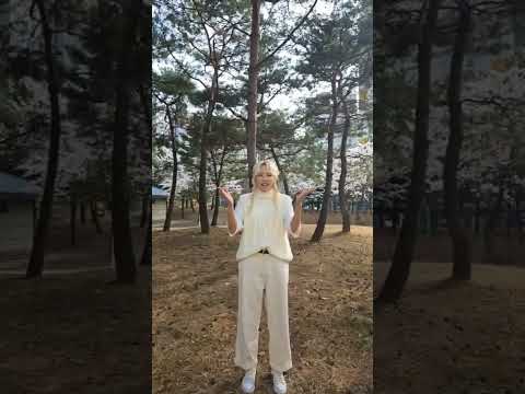 #부여백마강야시장 #미스트롯3 #슬기 #5월4일개장 한국레저마케팅