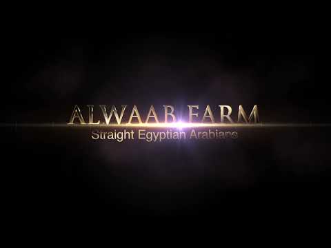 Intro Al Waab Farm